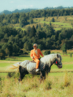 MINI F'ALKO Sparkling Rosé 0% (200 ml)