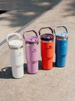 Stanley IceFlow Flip Straw Tumbler 0,89L · Frost